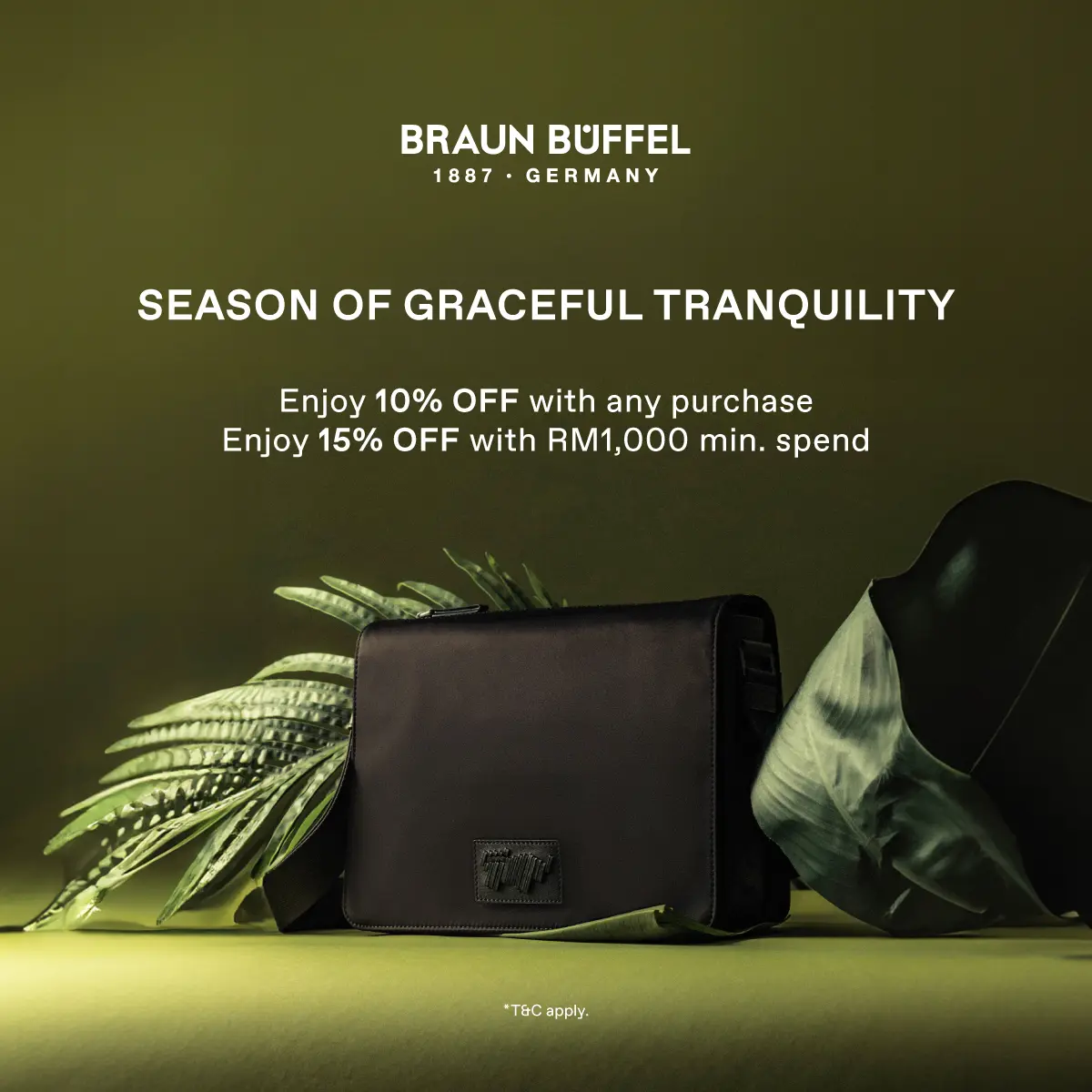 braun buffel article banner