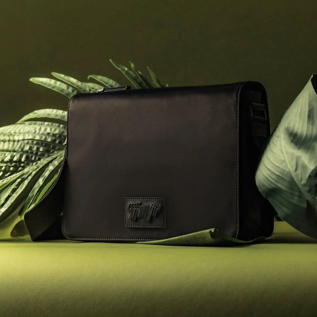 Braun Buffel